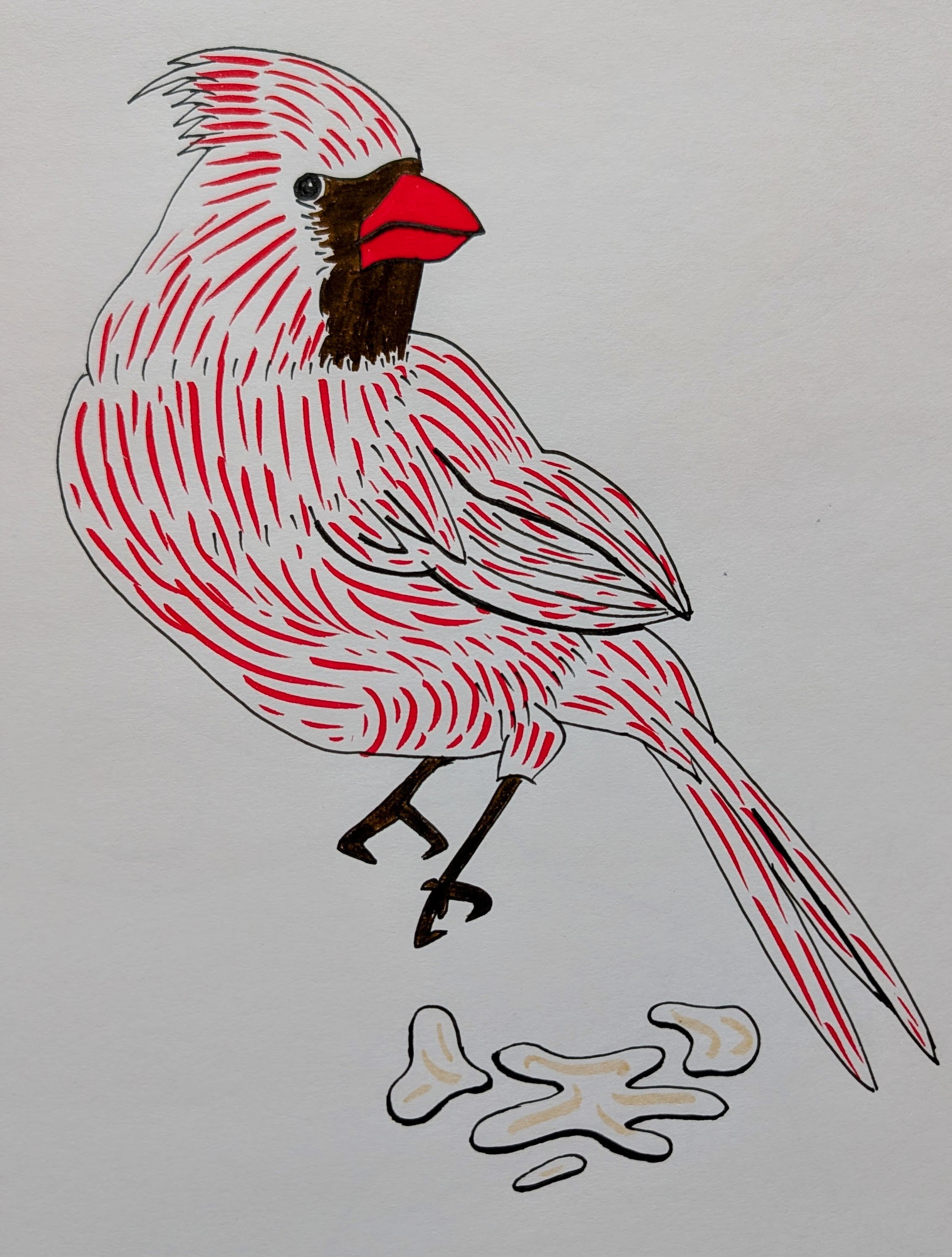 Pens and Markers 13