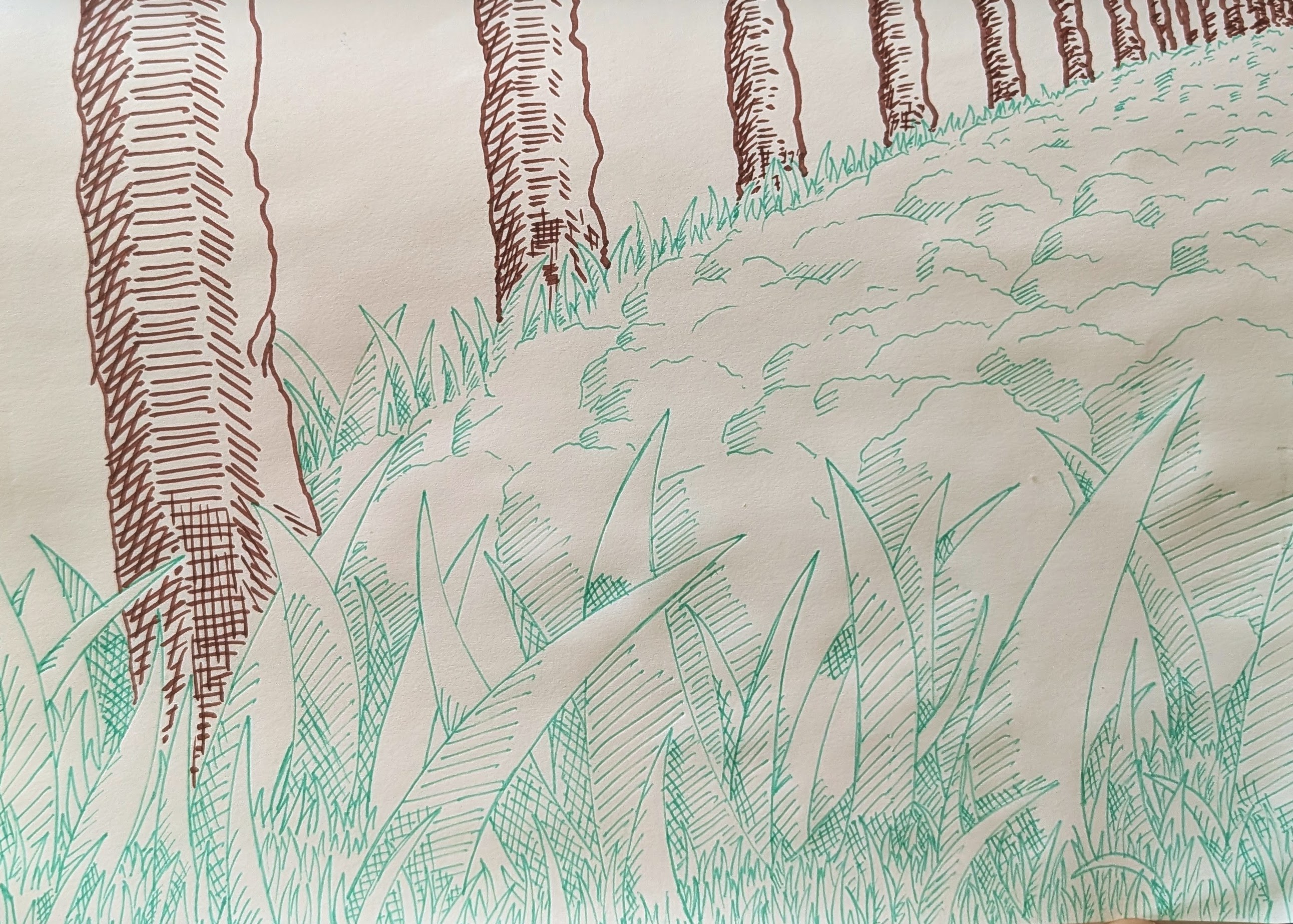 Pens and Markers 14