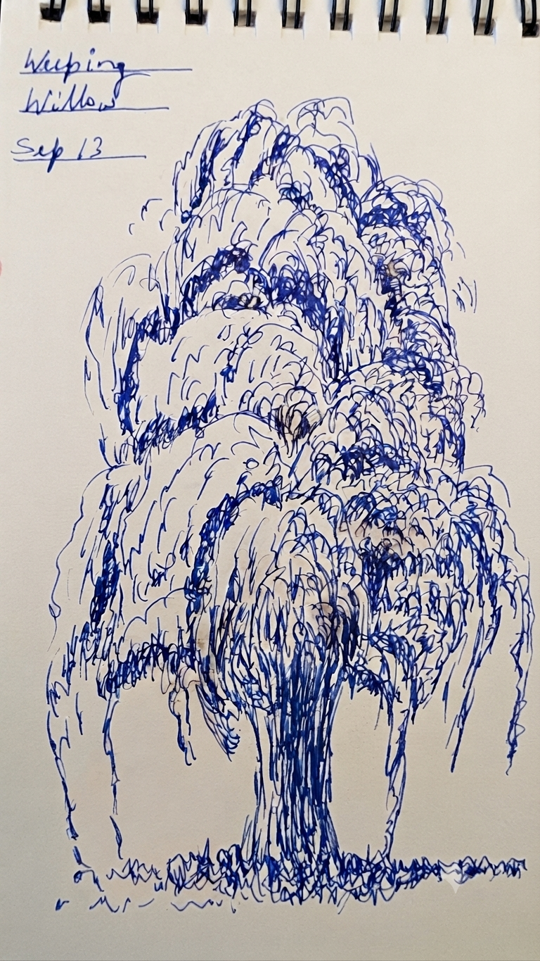 Pens and Markers 24