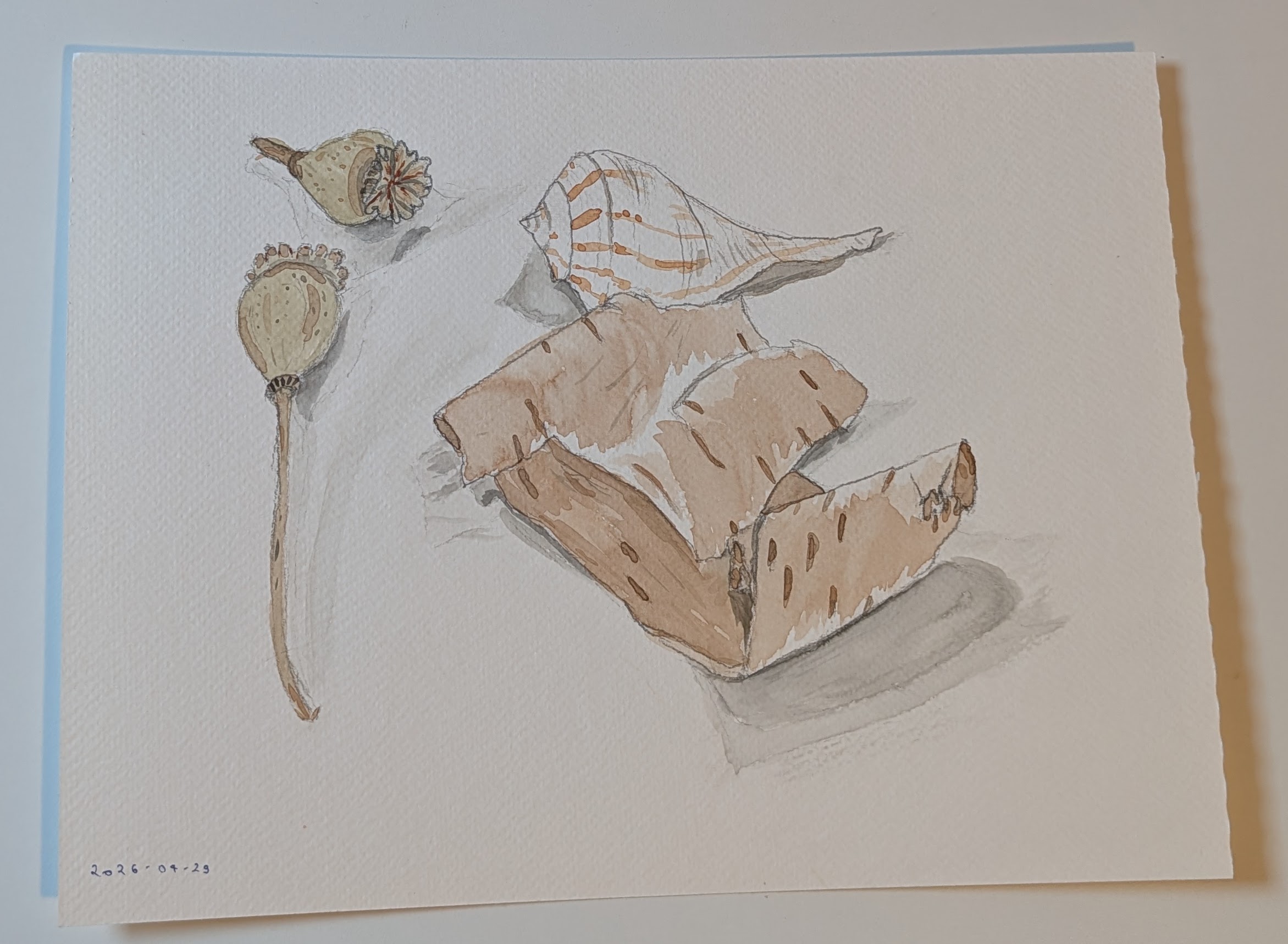 Watercolours 7