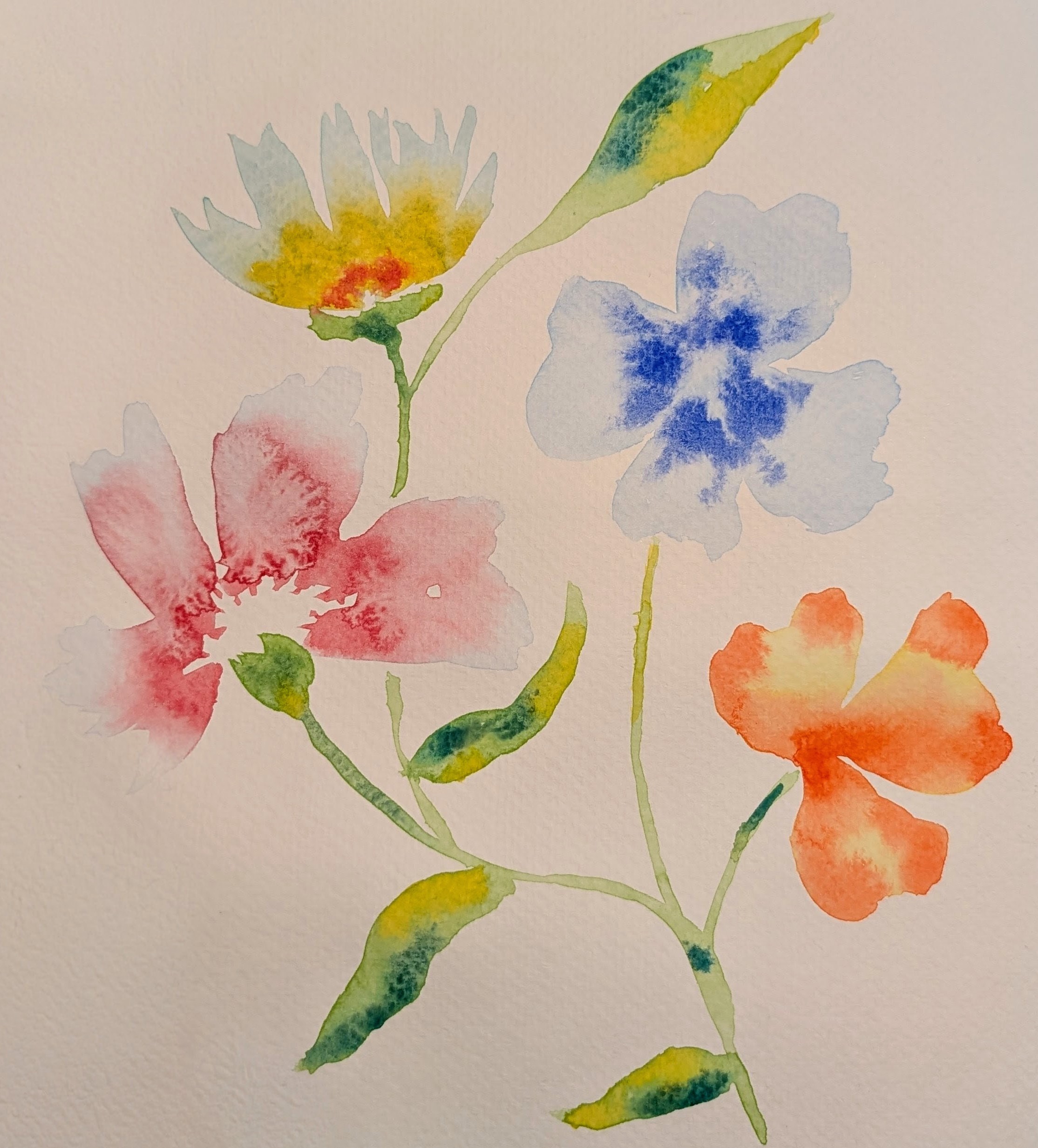Watercolours 8