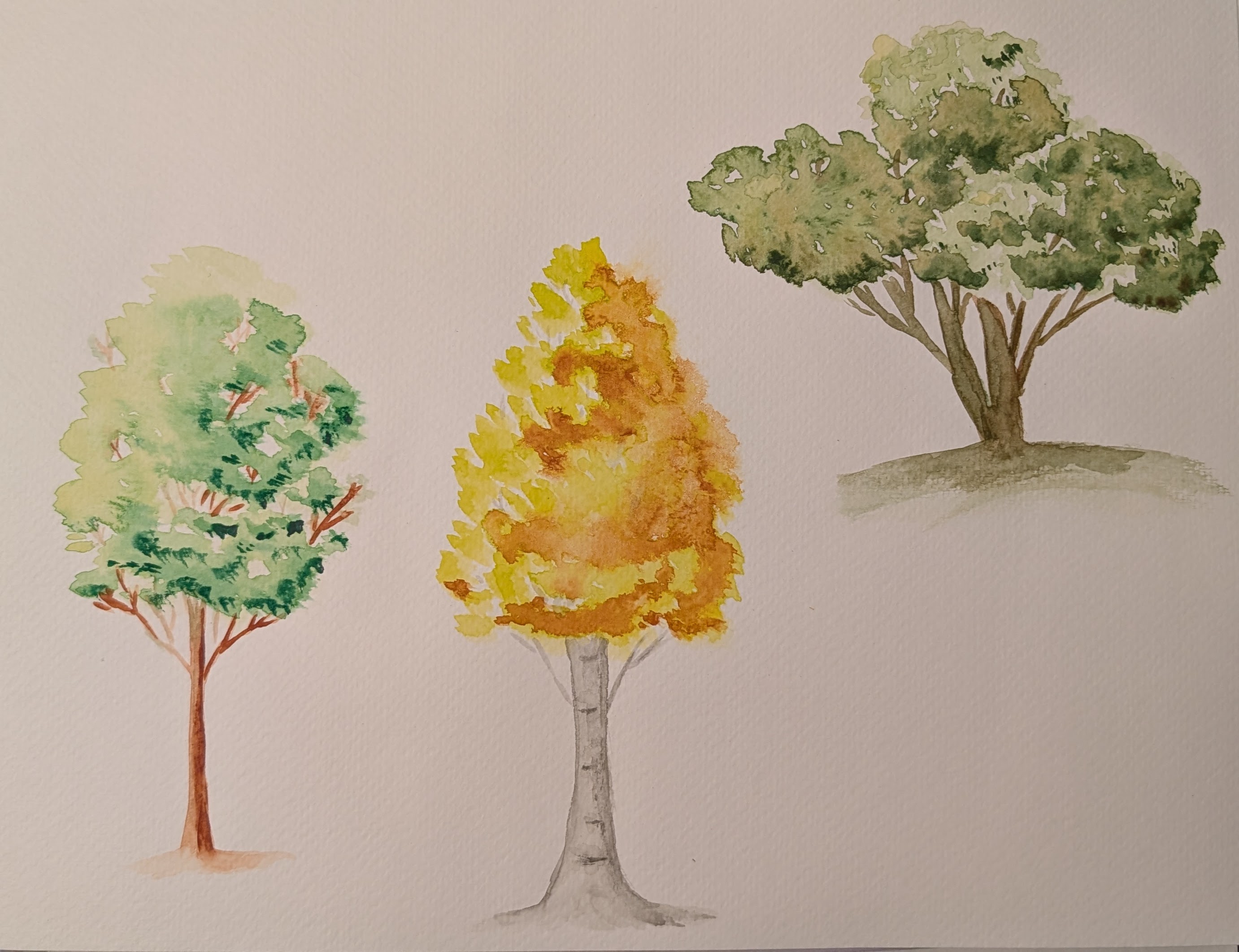 Watercolours 10