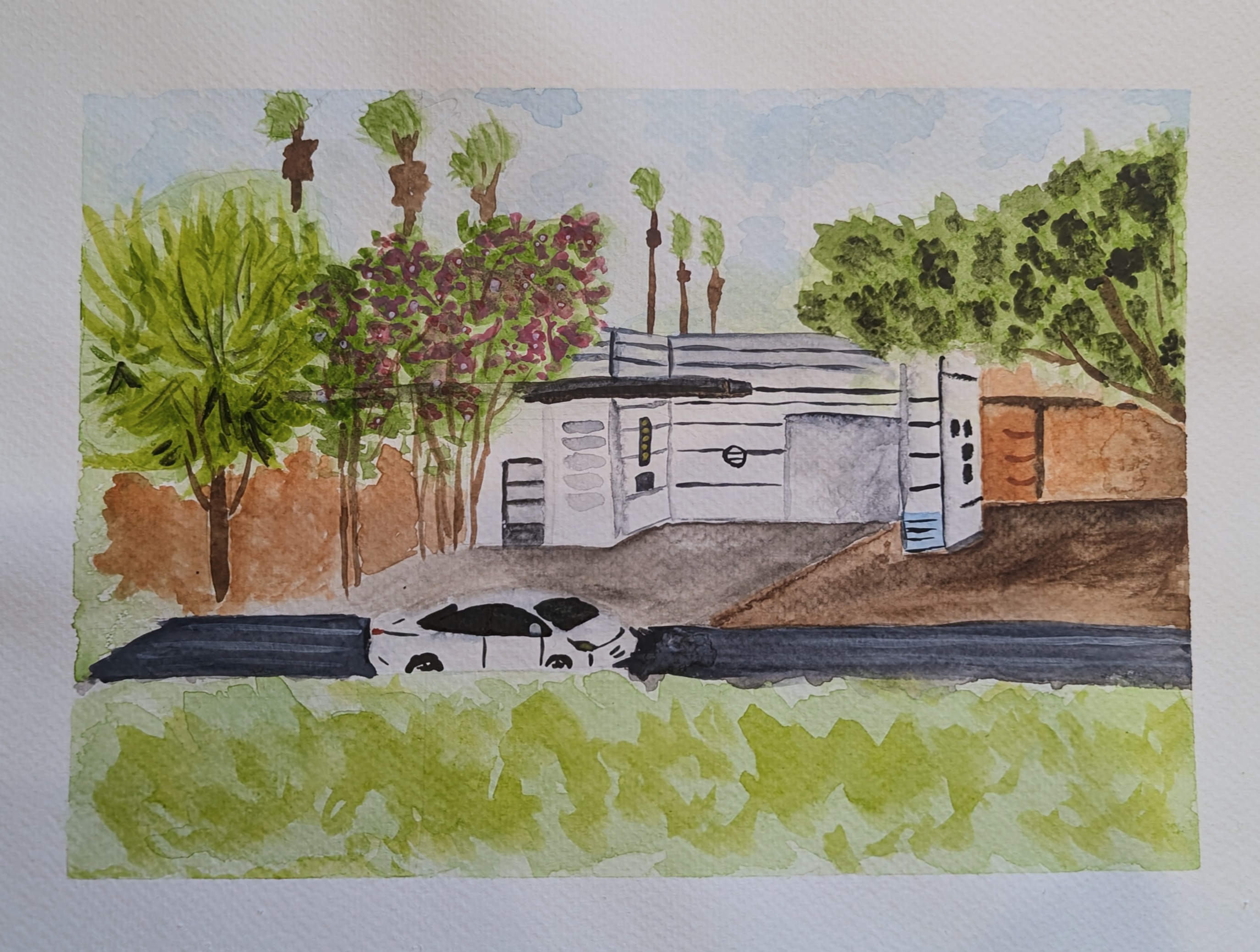 Watercolours 15