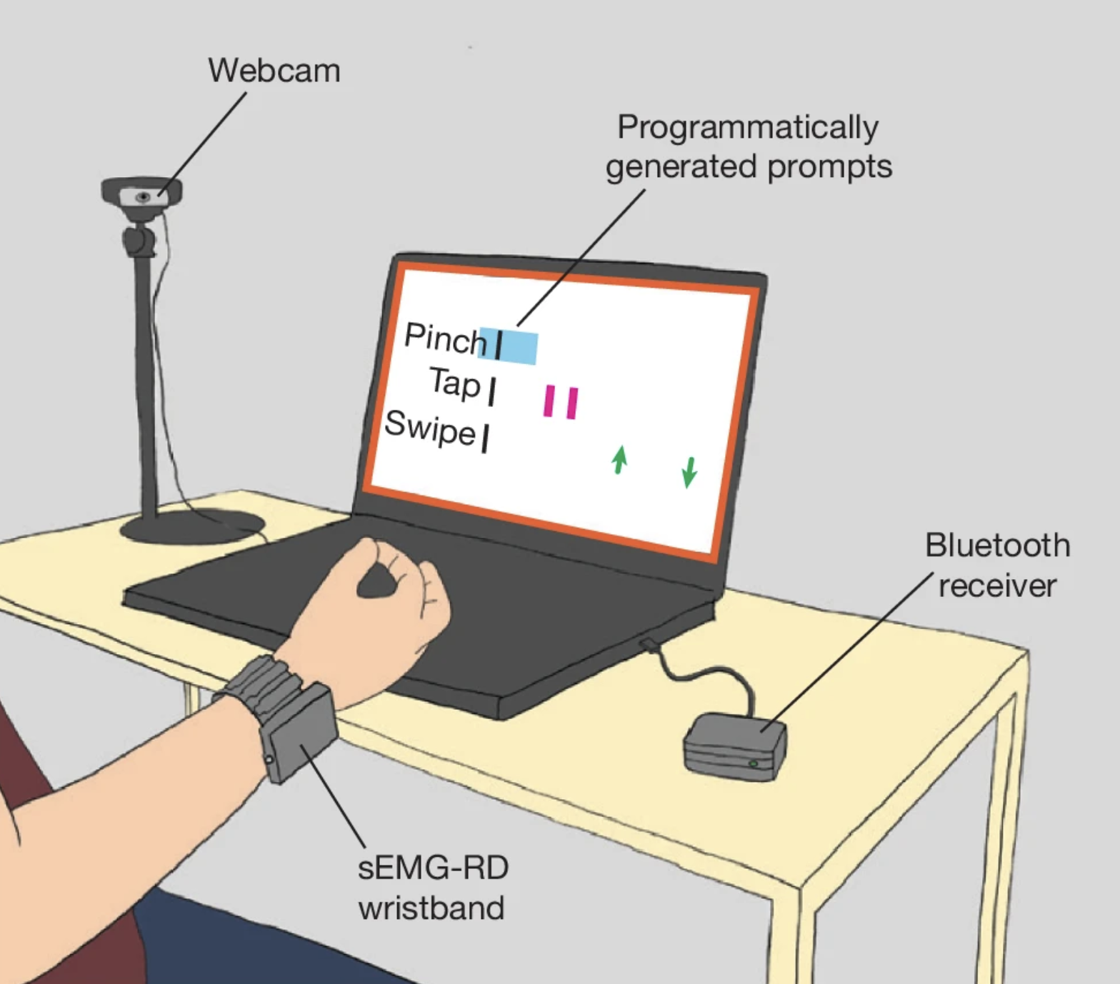 Thumbnail of A Generic Non-Invasive Neuromotor Interface for Human-Computer Interaction
